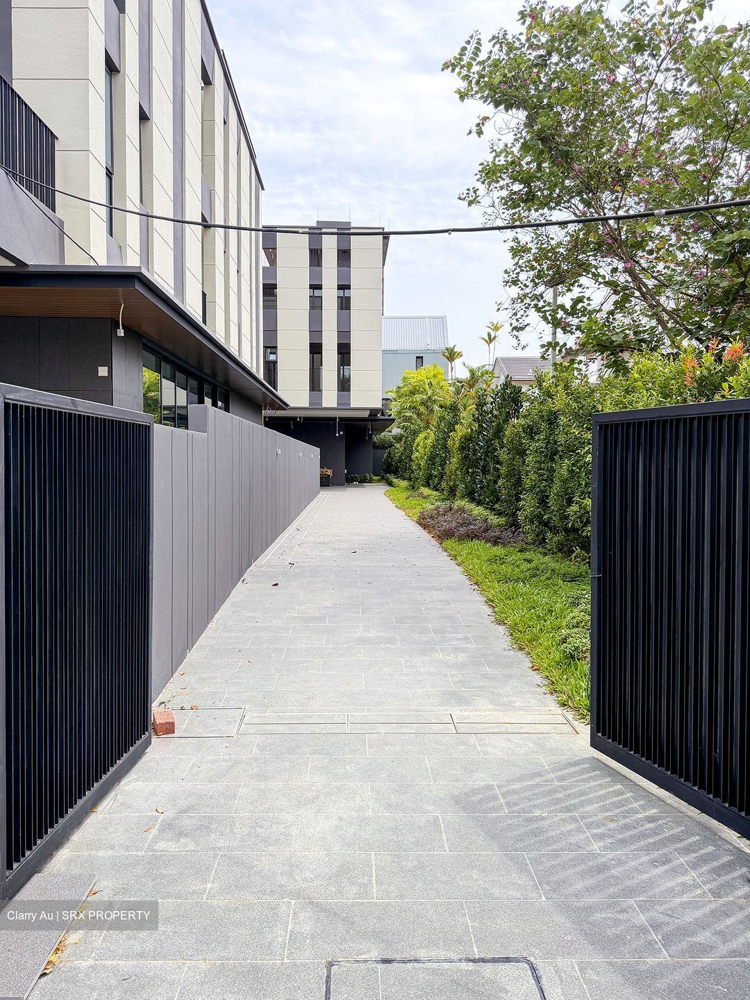 Palm Road (D15), Detached #524258881